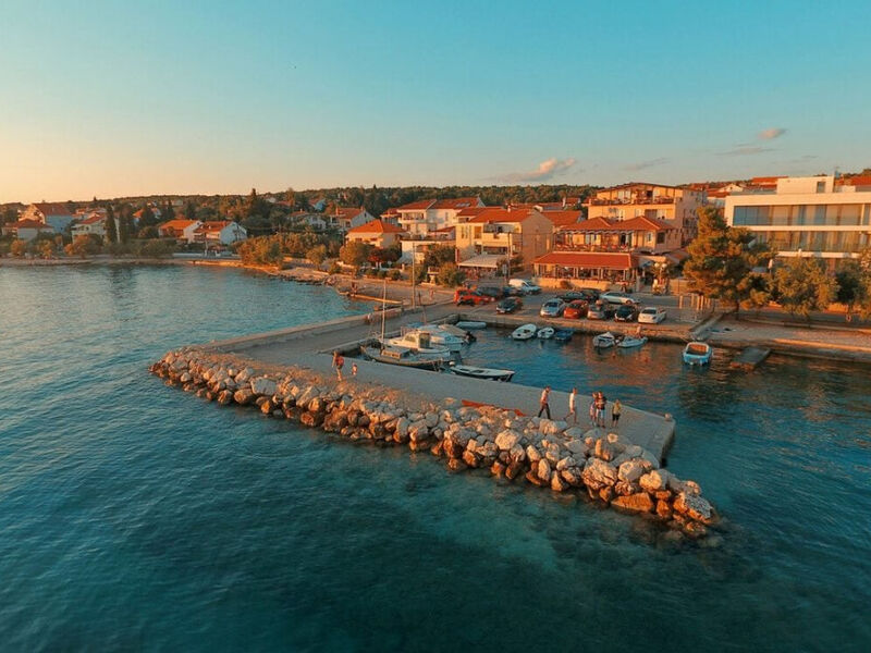Delfin - Zadar