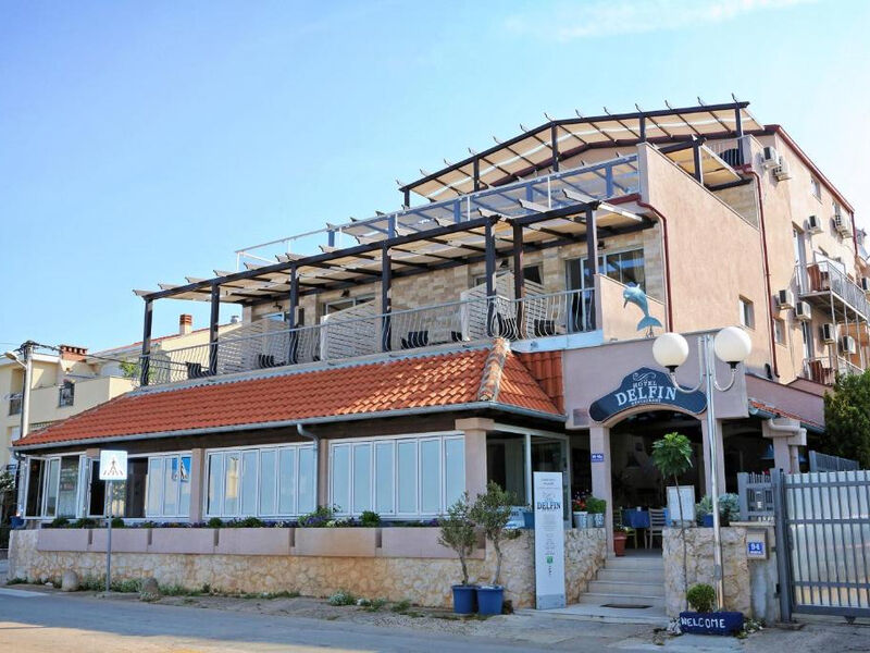 Delfin - Zadar