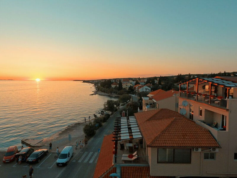 Delfin - Zadar