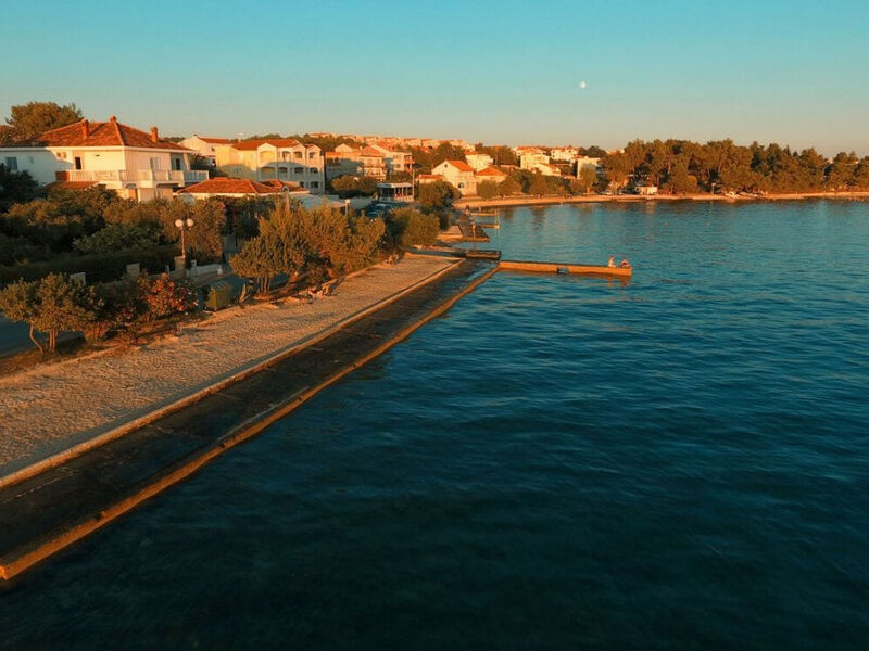 Delfin - Zadar