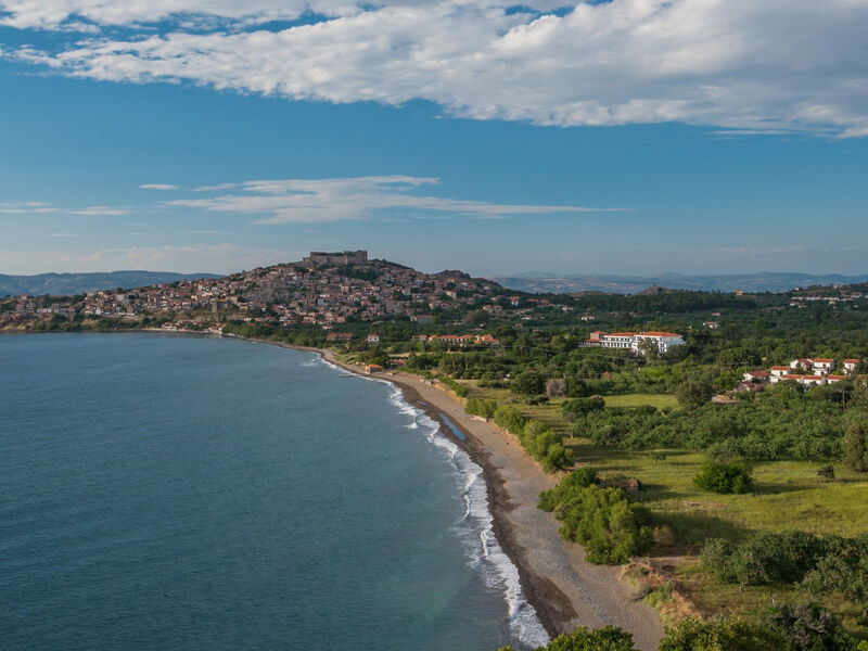 Delfinia