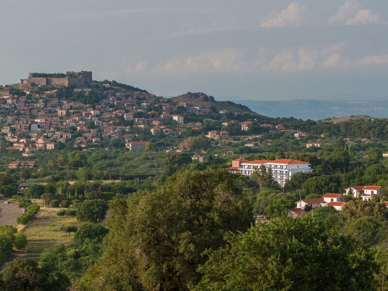 Delfinia