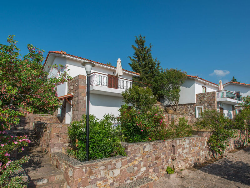Delfinia