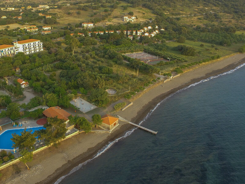Delfinia