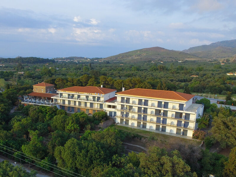 Delfinia