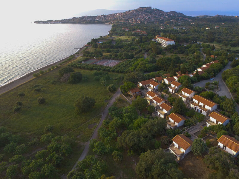 Delfinia