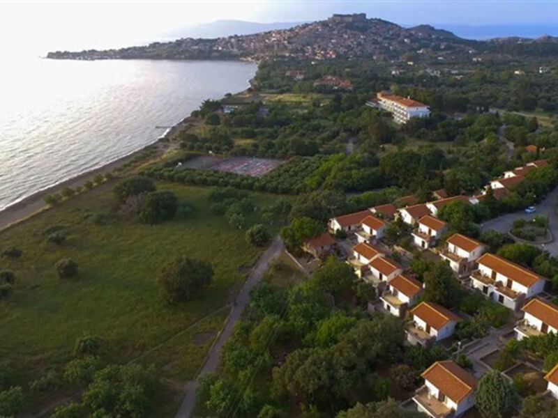 Delfinia