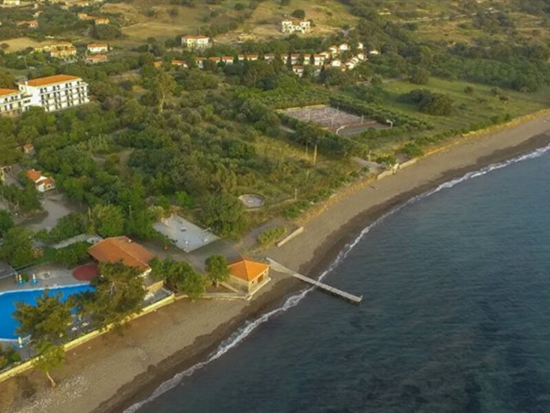 Delfinia