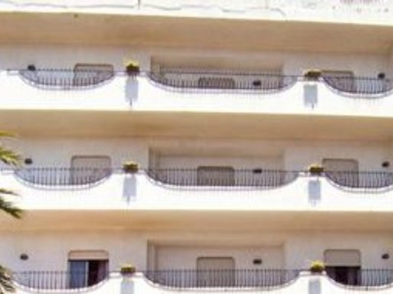Delle Palme