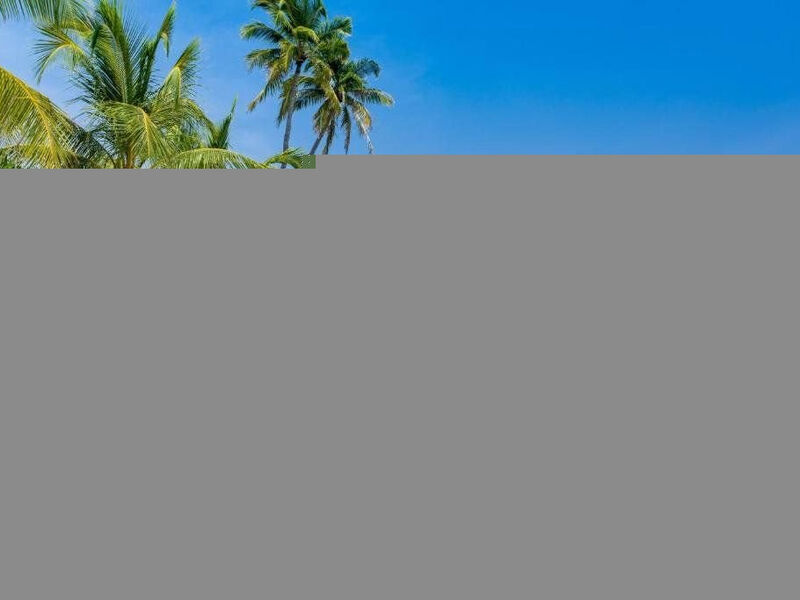 Dhigufaru Island Resort