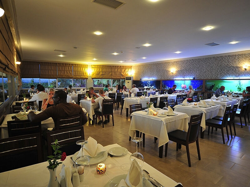 Dinler