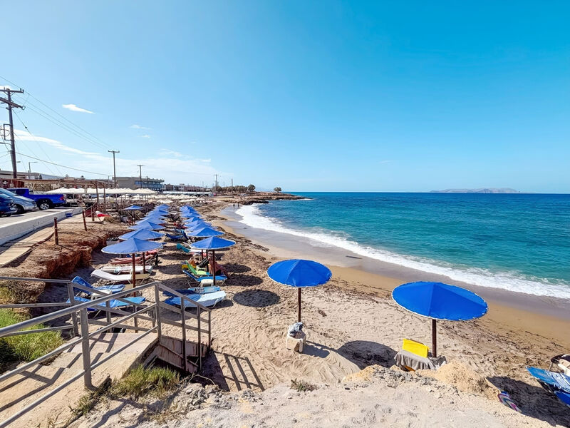 Diogenys Blue Palace