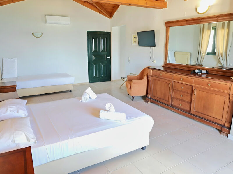 Diogenys Blue Palace