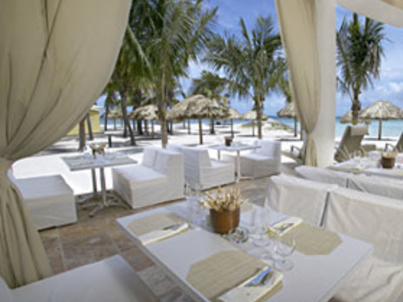 Divi Aruba Phoenix Resort