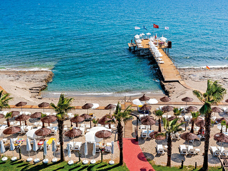 Dizalya