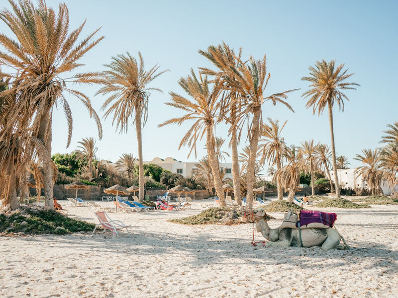 Djerba Castille