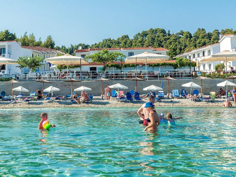 Dolphin Beach