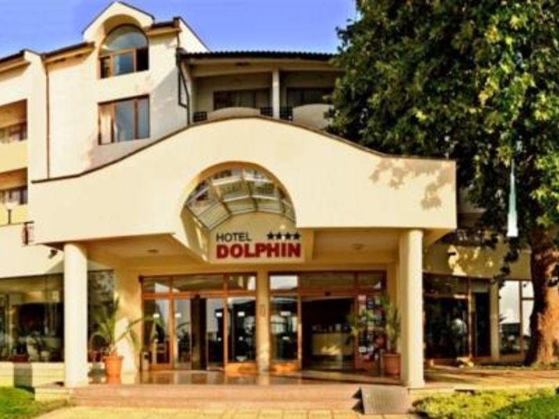 Dolphin