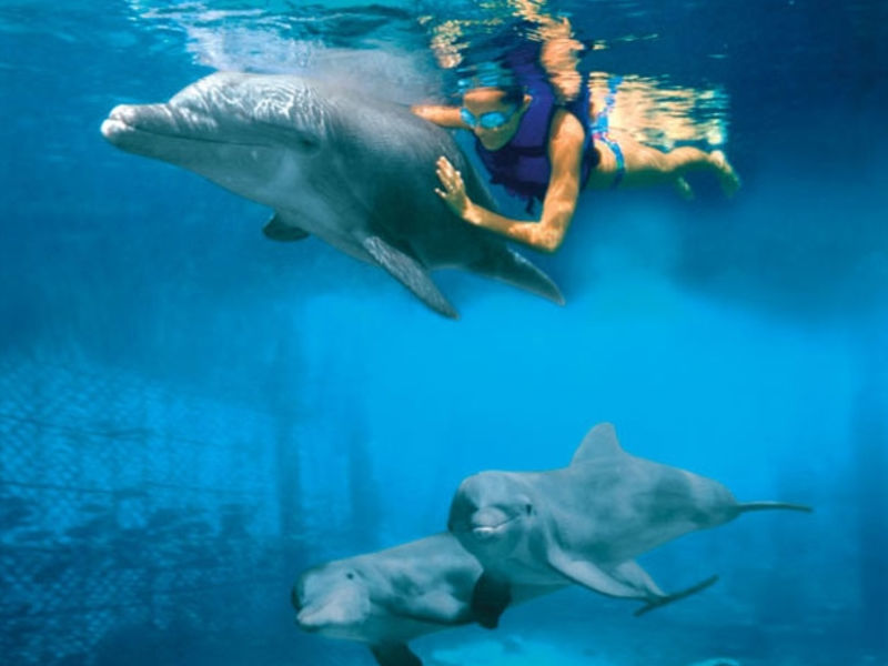 Dreams Cancun Resort & Spa