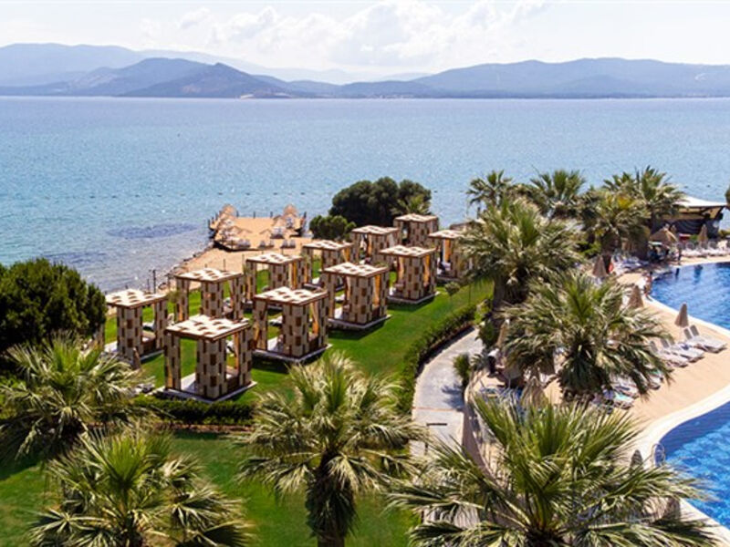 Duja Didim
