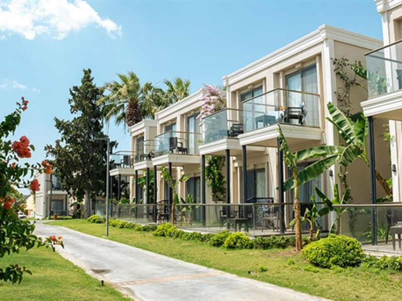 Duja Didim