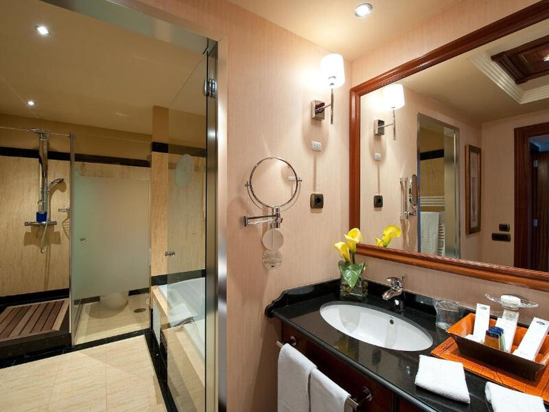 Elba Estepona Gran Hotel & Thalasso Spa