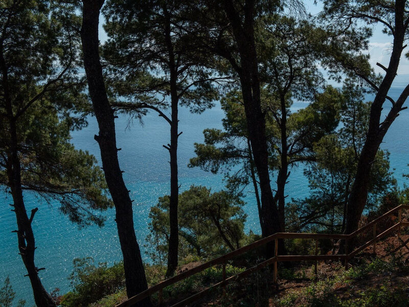 Elies 33 Bio Retreat