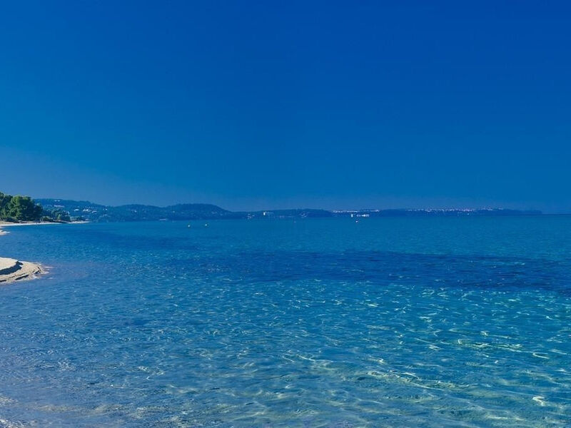 Apolamare