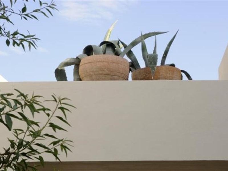 Elounda Garden