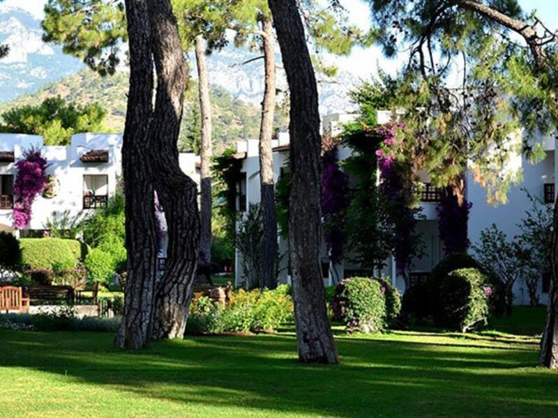 Emelda Sun Club