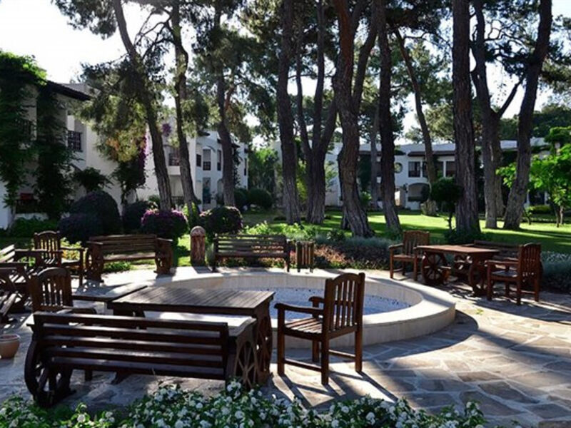Emelda Sun Club