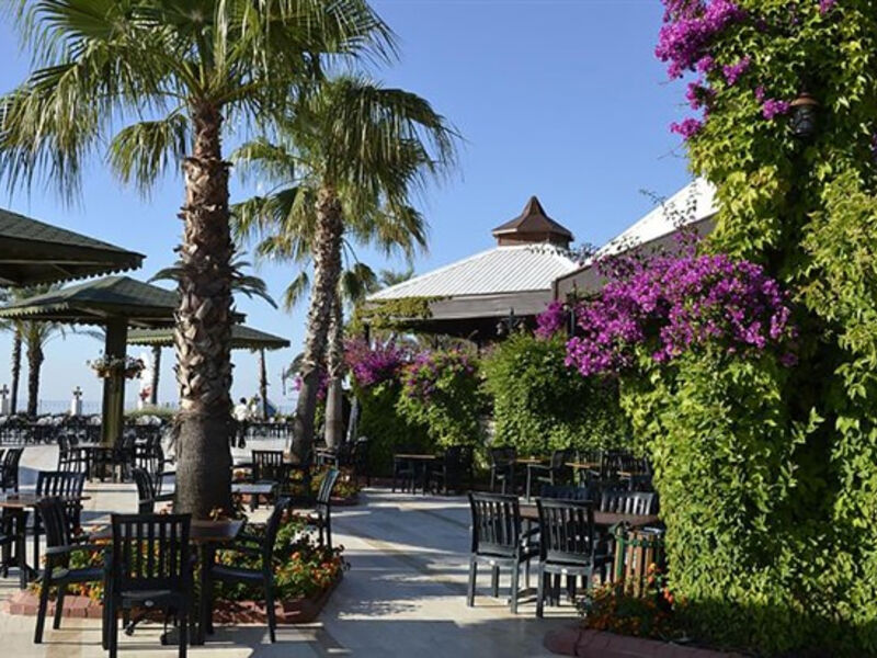 Emelda Sun Club