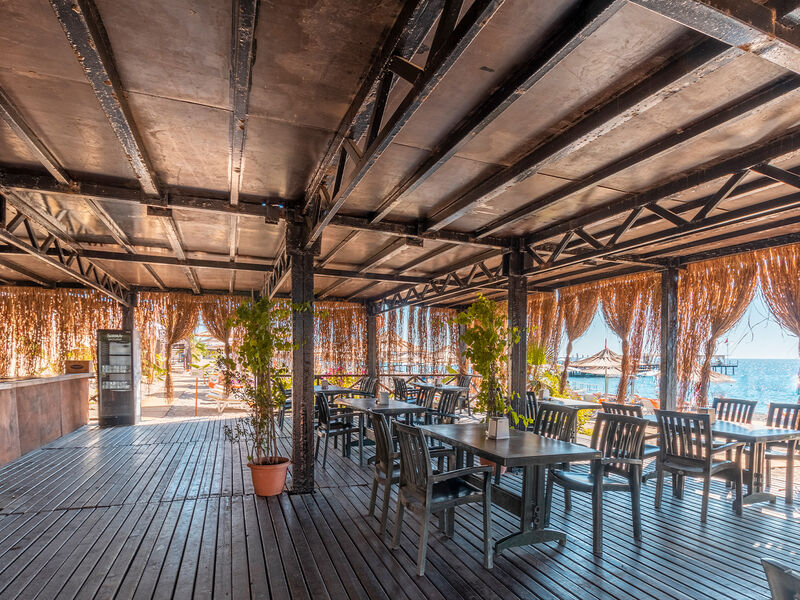 Emelda Sun Club