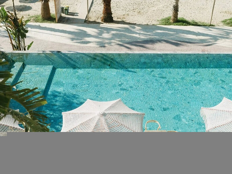 Epidamn White Sensation