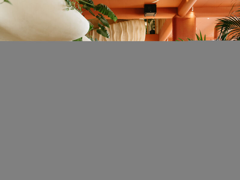 Epidamn White Sensation