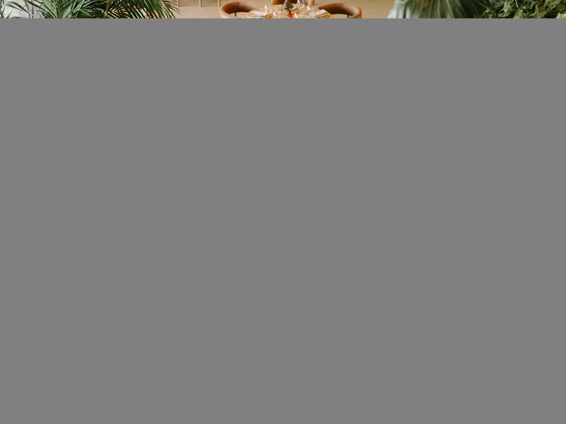 Epidamn White Sensation