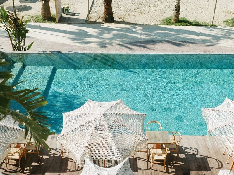 Epidamn White Sensation