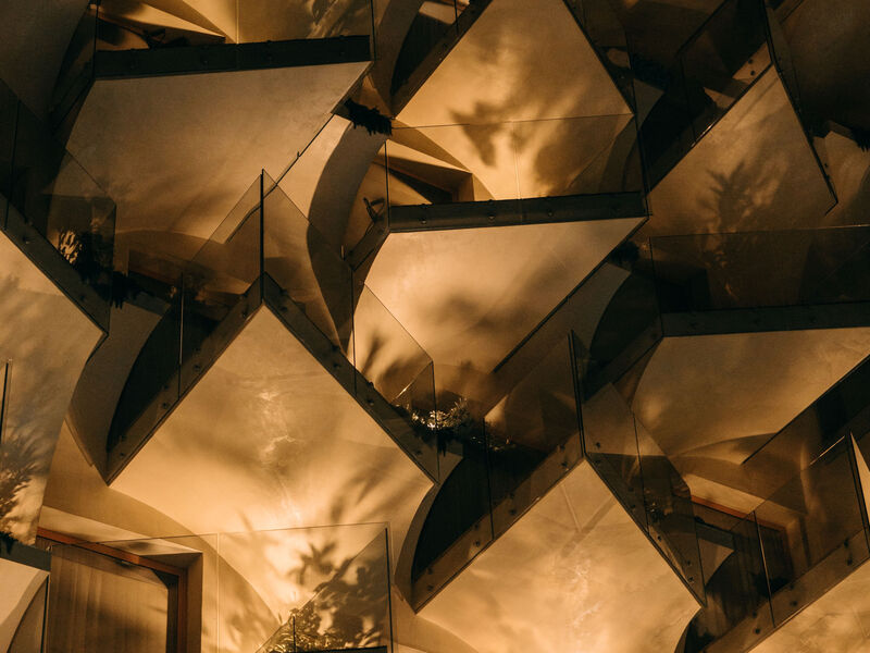 Epidamn White Sensation