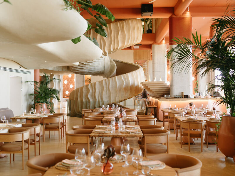 Epidamn White Sensation