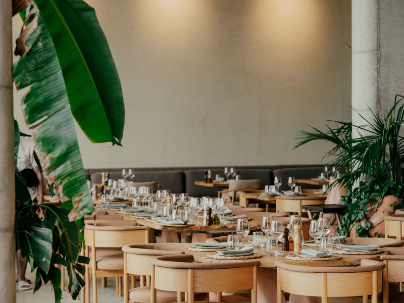 Epidamn White Sensation