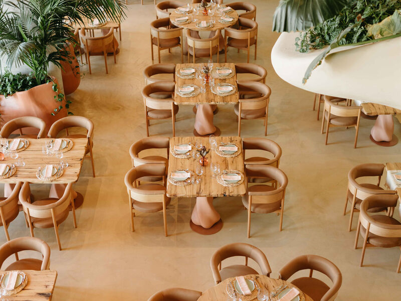 Epidamn White Sensation