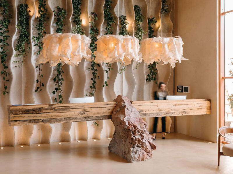 Epidamn White Sensation