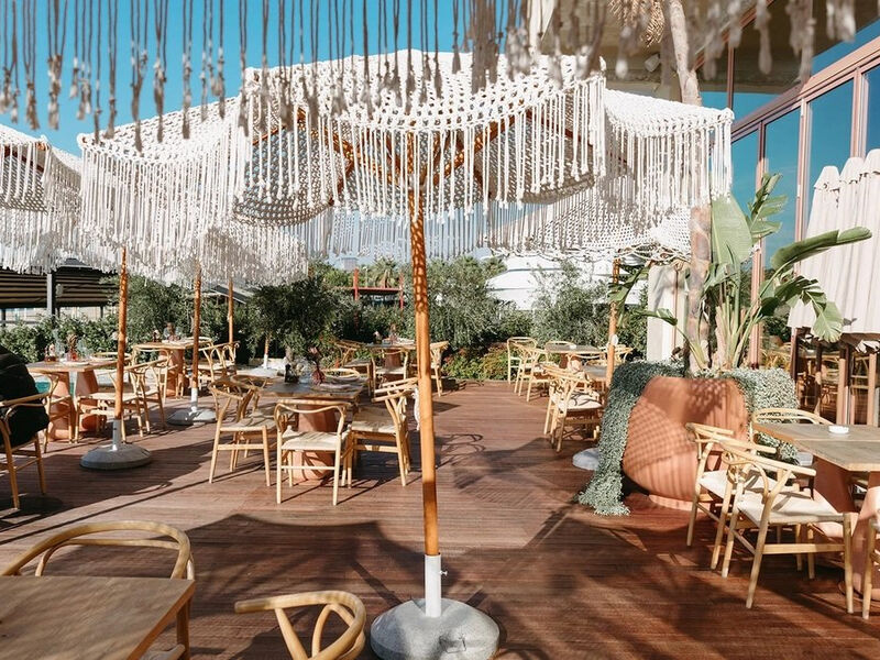 Epidamn White Sensation