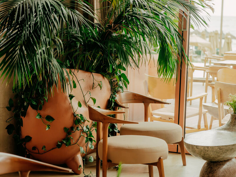 Epidamn White Sensation