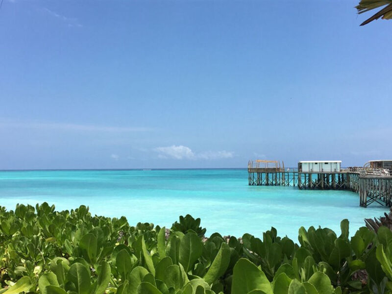 Essque Zalu Zanzibar