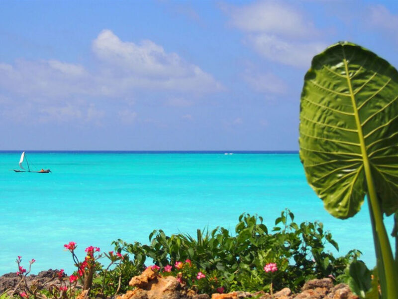 Essque Zalu Zanzibar