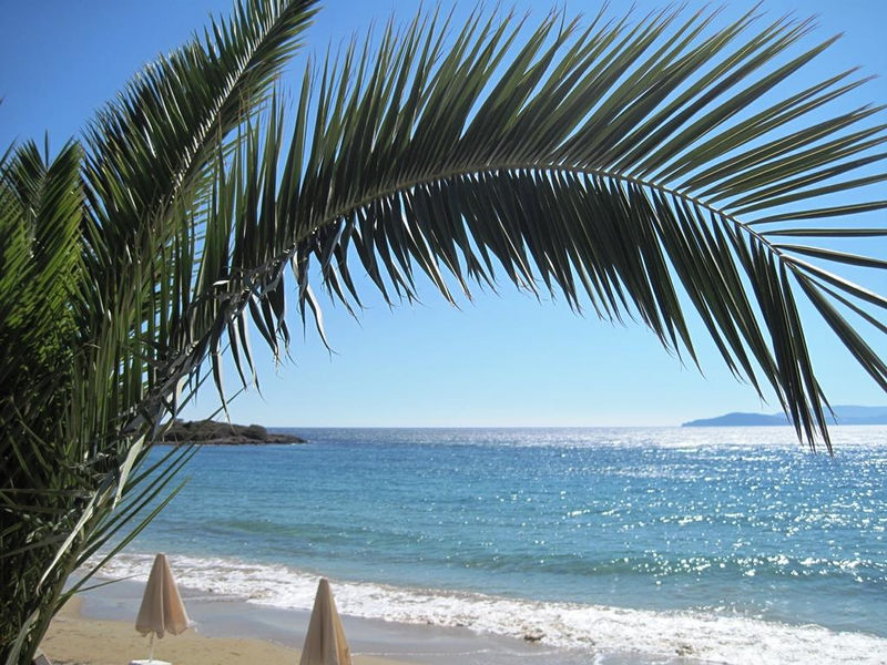 Faedra Beach