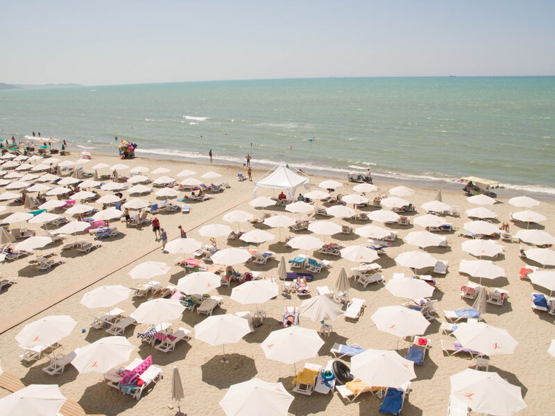 Fafa Premium / Meli Premium