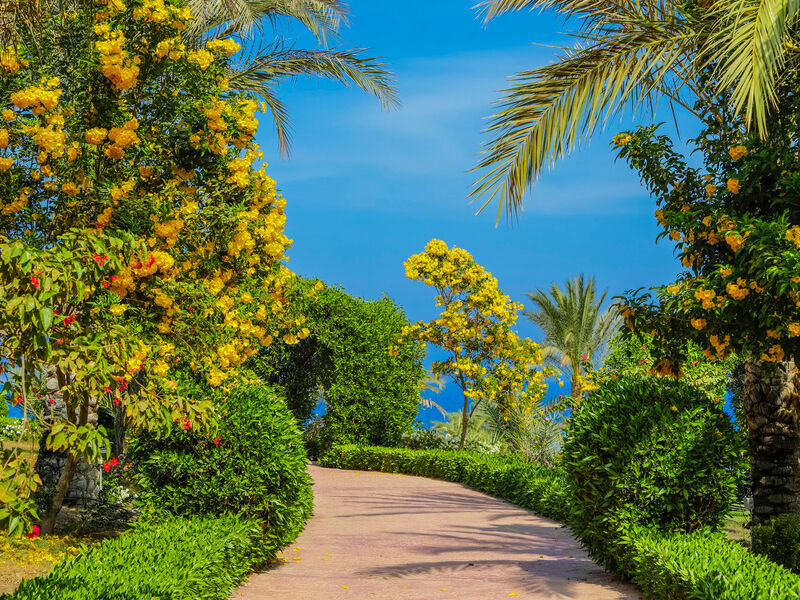 Fantazia Resort