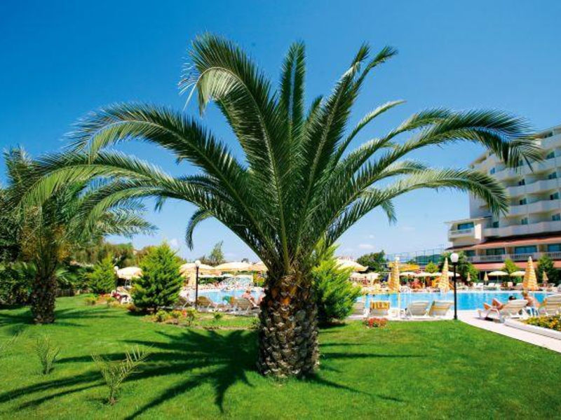 Febeach
